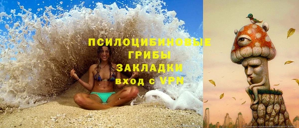 прущий лед Абаза